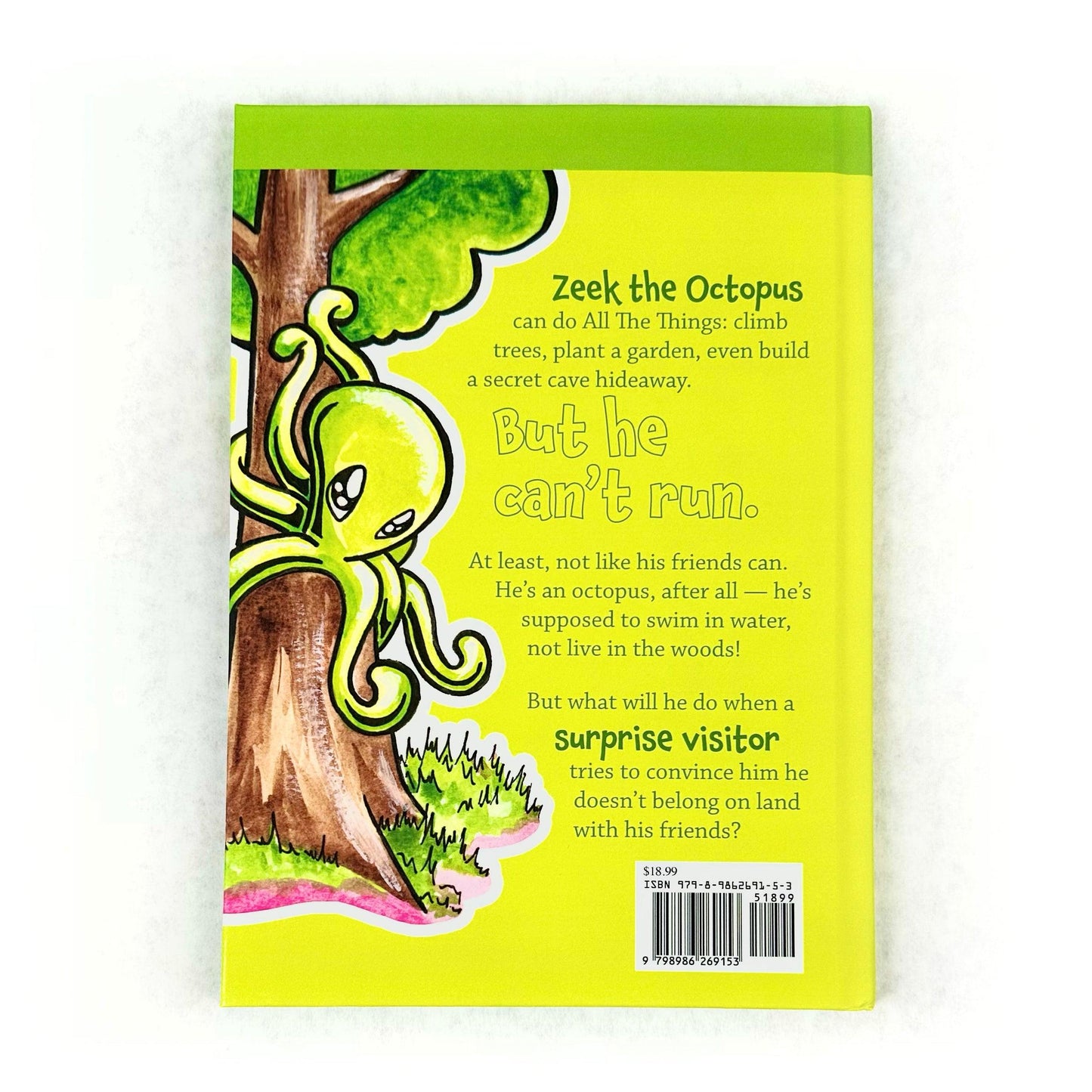 Skoshie and Friends Book 2 - Because You Can - Back Cover